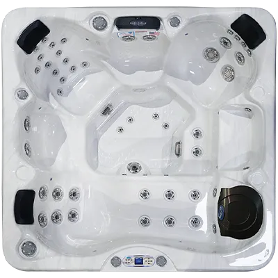 Avalon EC-849L hot tubs for sale in Kenner