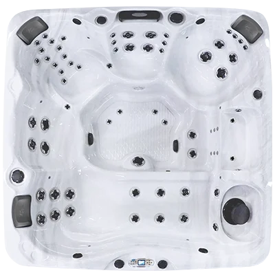 Avalon EC-867L hot tubs for sale in Kenner